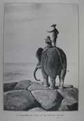 A magnificent view of the Pacific Ocean